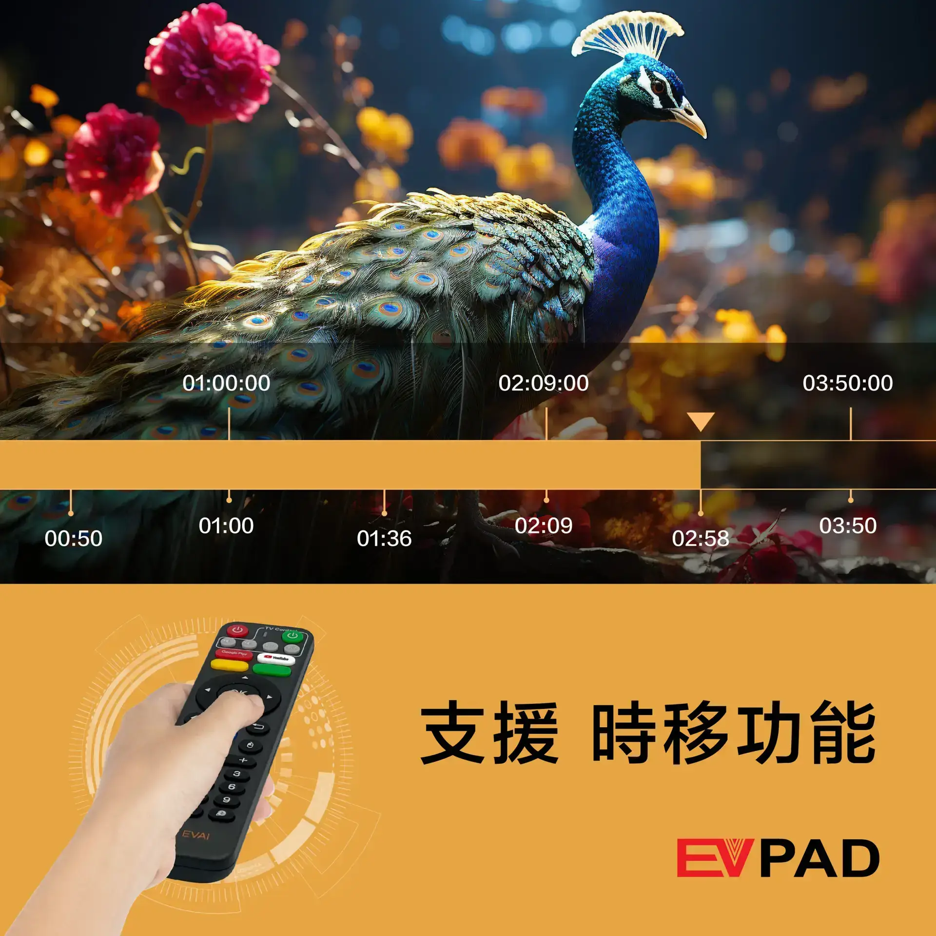EVPAD 11P Android TV Box(マレーシア版) EVPAD 11P Android TV Box(マレーシア版) - 画像 (7)