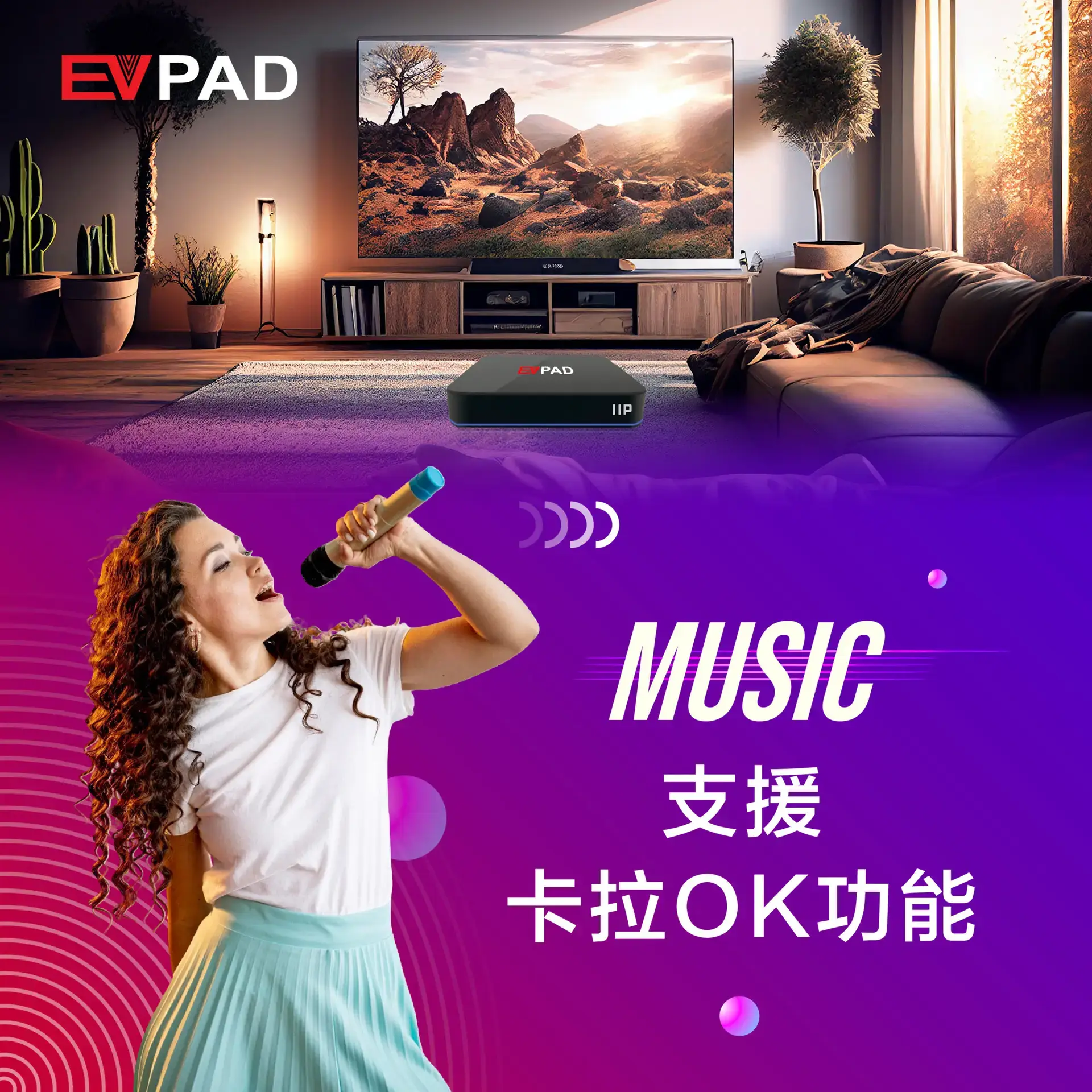 EVPAD 11P Android TV Box(マレーシア版) EVPAD 11P Android TV Box(マレーシア版) - 画像 (8)